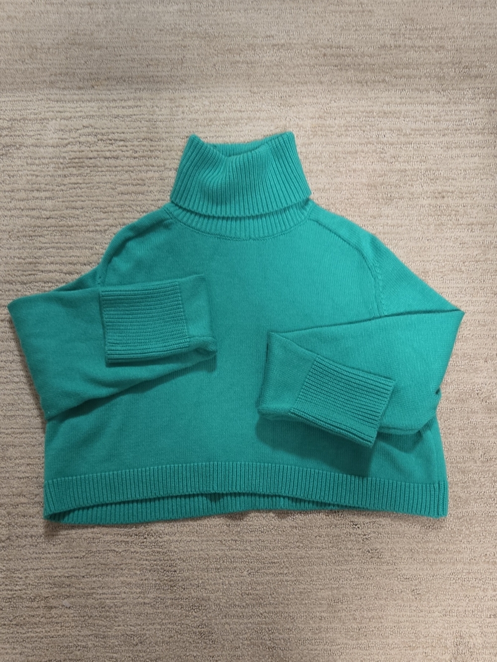 NWOT Zara Cropped Turtleneck Sweater-Green